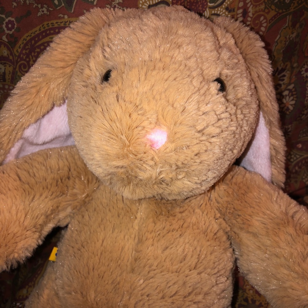 Build a Bear Bunny